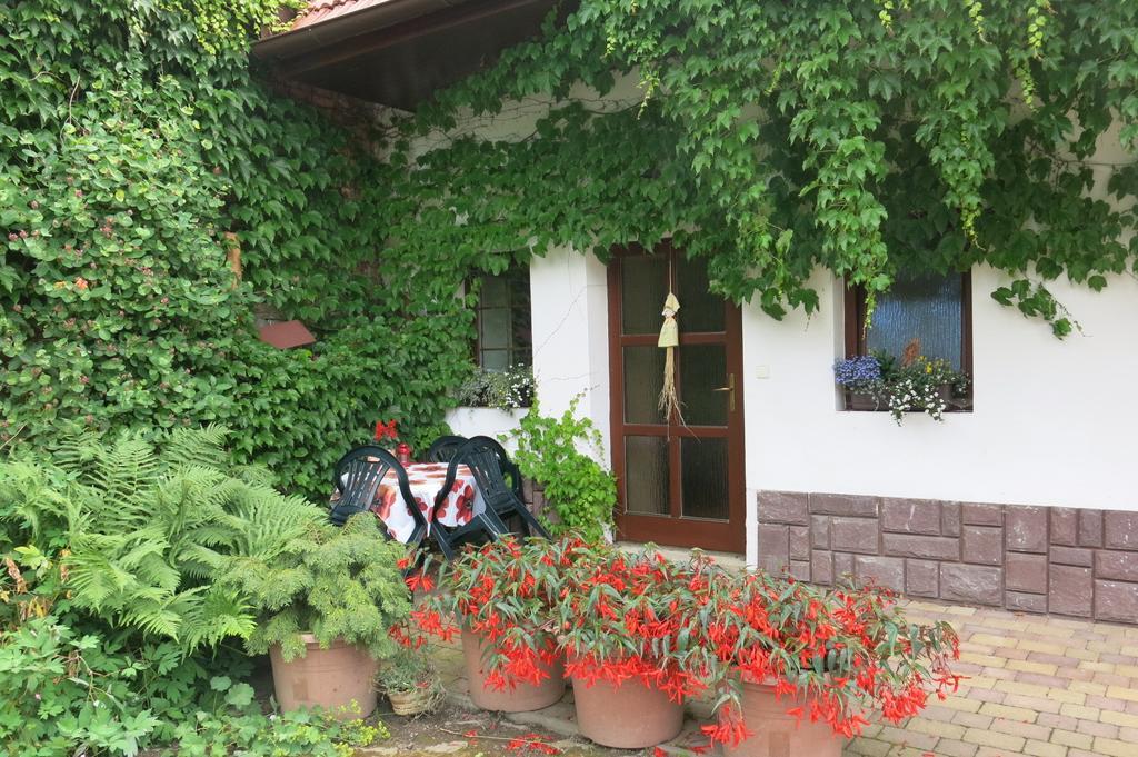 La Ferme De Sissi Leilighet Smrzice Rom bilde